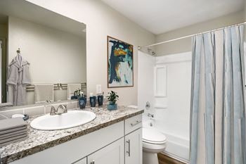 A bathroom with a sink and a toilet and a shower